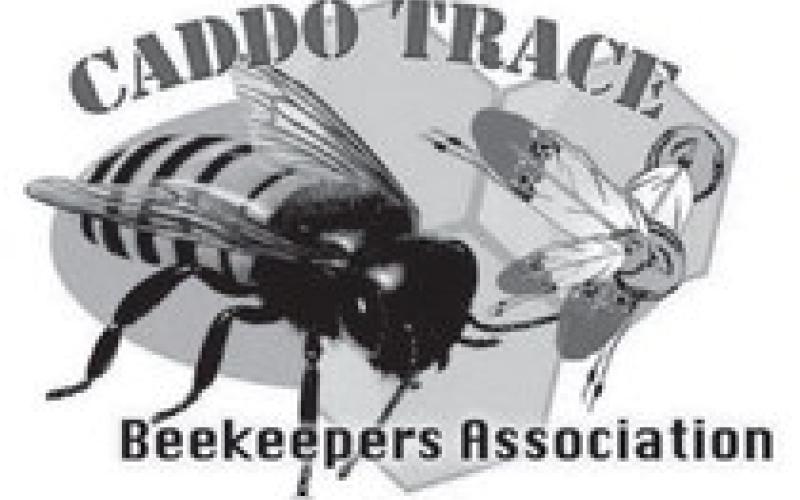 Why gardening and beekeeping?