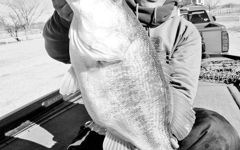 Bass angler Lawrence Lee of Temple caught the first Toyota Legacy Lunker of 2024 on January 17 while fishing at Lake J.B. Thomas in West Texas. The 13.79 pounder is the first-ever Legacy Lunker from the 7,200 acre reservoir and is a new lake record. (Photo courtesy Christian Gladfelter/Slaunched Guide Service)