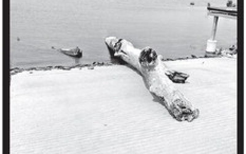 Large logs like this one that drifted ashore at one of the public boat ramps will pose potential hazards to boaters for quite a while. (Dan Bennett Photo)