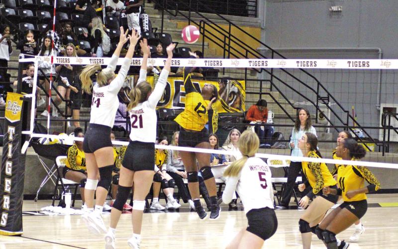 Mount Pleasant’s Essence Hurndon jumps for a spike during Friday’s game against Whitehouse. The Lady Tigers fell to the Lady Cats, 3-0 (18-25, 10-25, 25-27). The Lady Tigers concluded their season Tuesday at home against Texas High. TRIBUNE PHOTO / QUINTEN BOYD