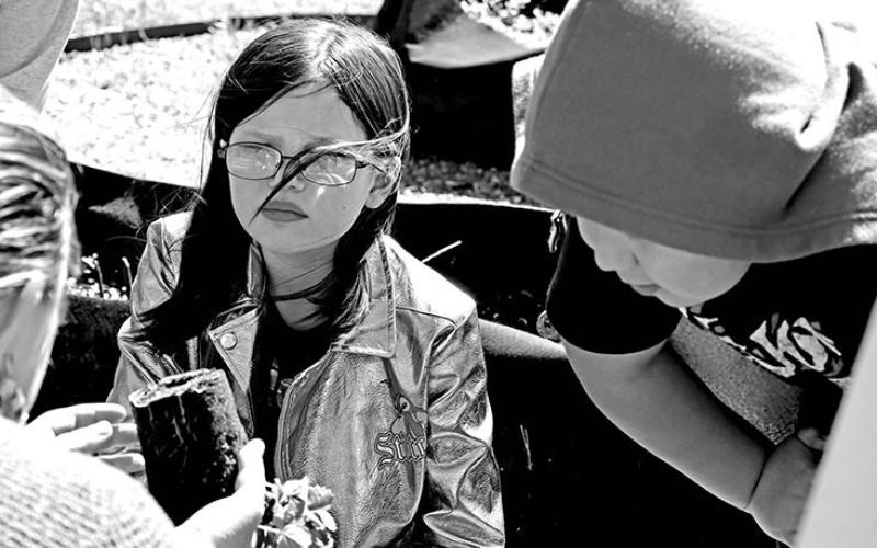 Gabriella Sunderland (left) and Micah Vasquez listen as Advisor Cassie George explains how to transfer the plant from a container to the bed