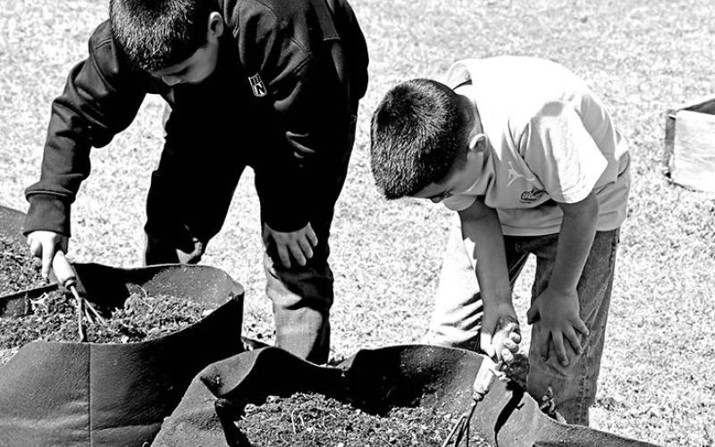 Liam Villarreal (left) and Aldo Urbina prepare the soil