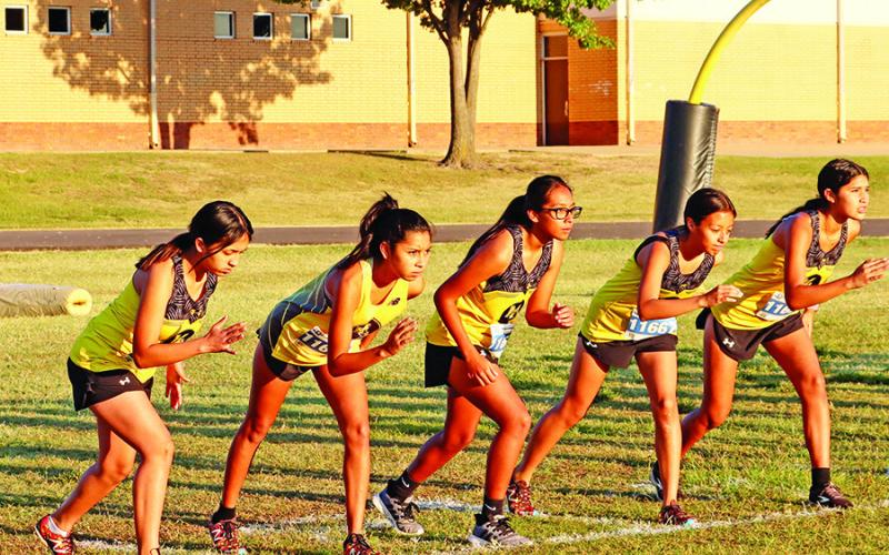 Tiger XC Hosts Titus County Fair Invitational
