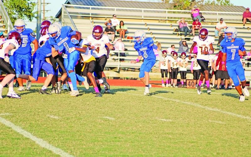 Pewitt eighth grade running back Zahkevion “Wooda” Betts fights for yardage during the junior high Brahmas’ game against New Boston Thursday. Betts, Kade Nix and Terry Versailles scored rushing touchdowns; Nix threw a touchdown pass to Kayden Young and Cruz Zavala had a number of tackles on defense, but the eighth grade lost a heartbreaker, 32-28.