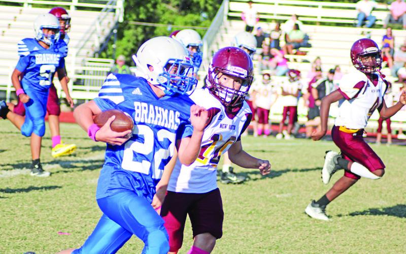 Pewitt seventh grade running back Walter Terrell breaks away for one of his three touchdowns on the day against New Boston. Ethan Coffey had an interception, Brody Hodges forced a fumble and Coffey, Ja’Tyi Holmes and Cooper West recovered fumbles, but the seventh grade fell to the Lions, 28-18. TRIBUNE PHOTO / QUINTEN BOYD