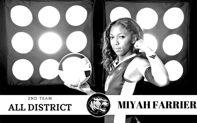 Lady Tigers chosen for District 105A Volleyball awards