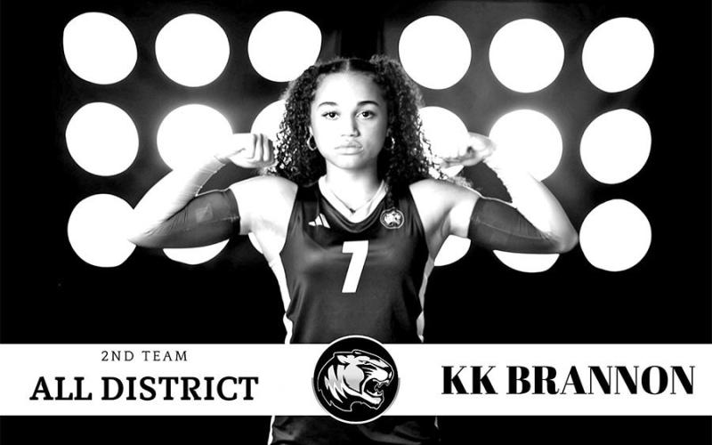 Lady Tigers chosen for District 105A Volleyball awards
