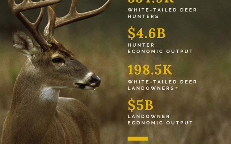 Texas Whitetails = Big Bucks