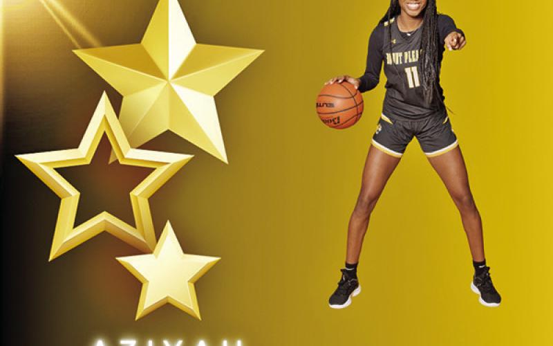 Accolades continue to pour in for Lady Tigers