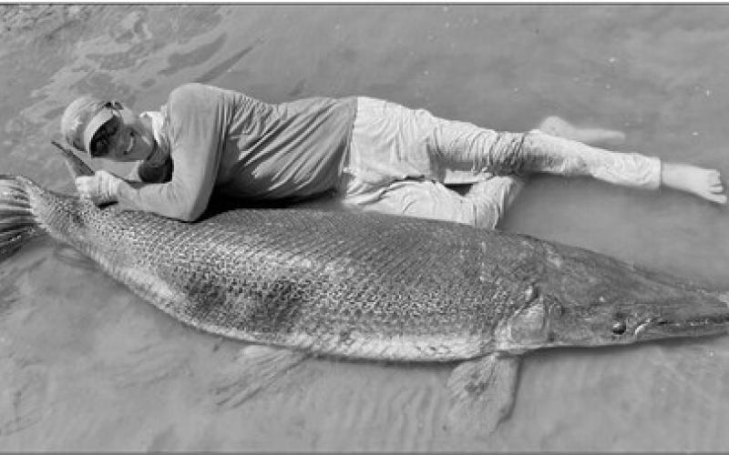 Art Weston of Union, Kentucky with the 283 pound alligator gar he caught and released on September 2 at Sam Rayburn Reservoir. For comparison, Weston stands 6 feet, 2 inches tall and weighs 180 pounds. Pending certification by the International Game Fish Association, the magnificent fish should eclipse the IGFA All-Tackle world record of 279 pounds that has stood for nearly 72 years. COURTESY PHOTOS