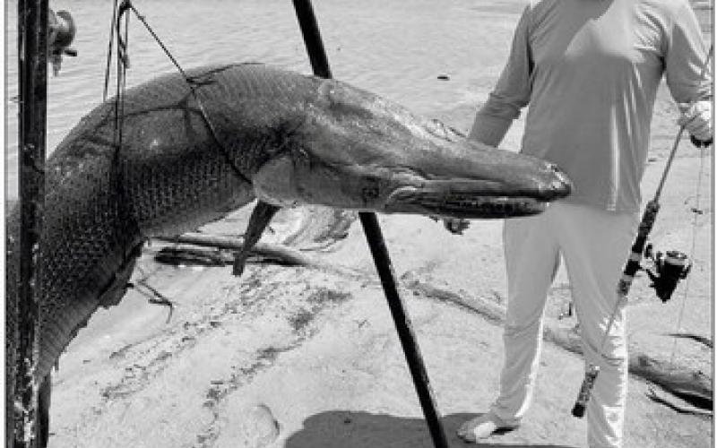 Weston was able to weigh the fish at lakeside using a portable certified scale that sets up on a tripod. The quick process helped ensure the live release an ancient fish that experts believe to be 80-100 years old.