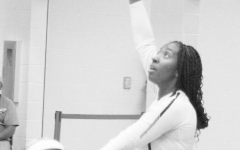 Volleyball teams gear up for playoff race