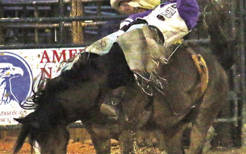 Rodeo success