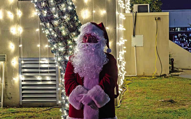 Tree lighting commences holiday season