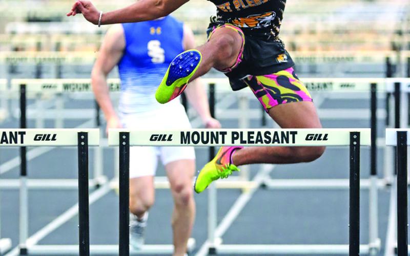 Tigers 3rd, Lady Tigers 4th at annual Tiger Relays