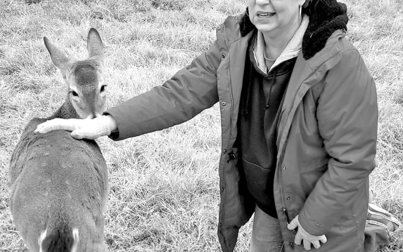 Dawn Russell poses with Comet shortly before he was released on her family ranch last November at five months of age. The young buck and its brother, Cannon, were born on impact during deer/truck collision that occurred in June 2022. Comet suffered a broken leg that required a $1,200 surgery to repair. Russell absorbed expense herself. COURTESY PHOTO