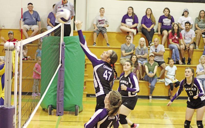 Fall Sports Highlights