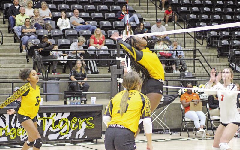 Fall Sports Highlights
