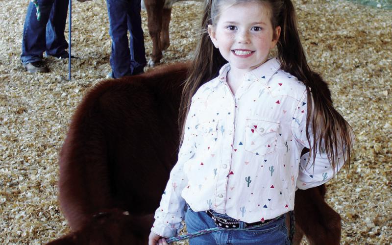 Last looks at the 2022 Titus County Fair