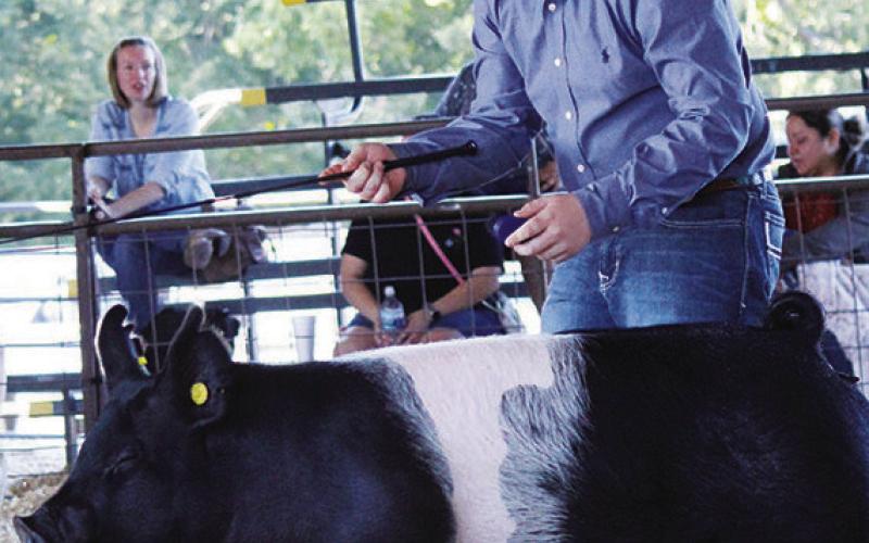 Last looks at the 2022 Titus County Fair