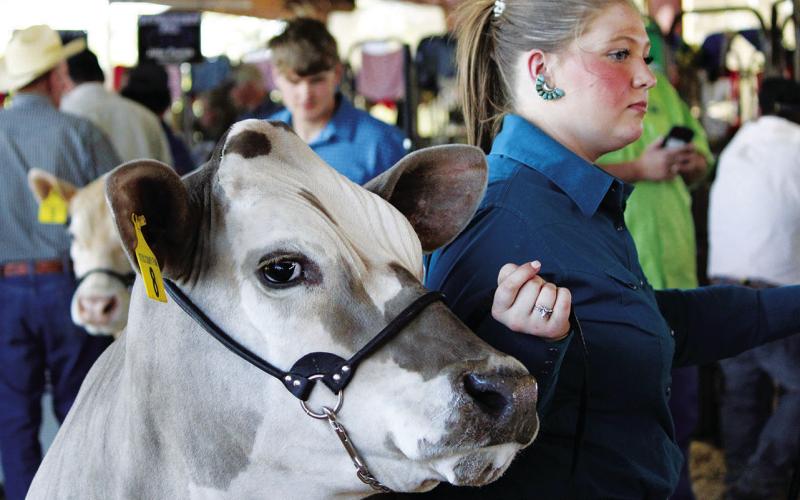 Last looks at the 2022 Titus County Fair