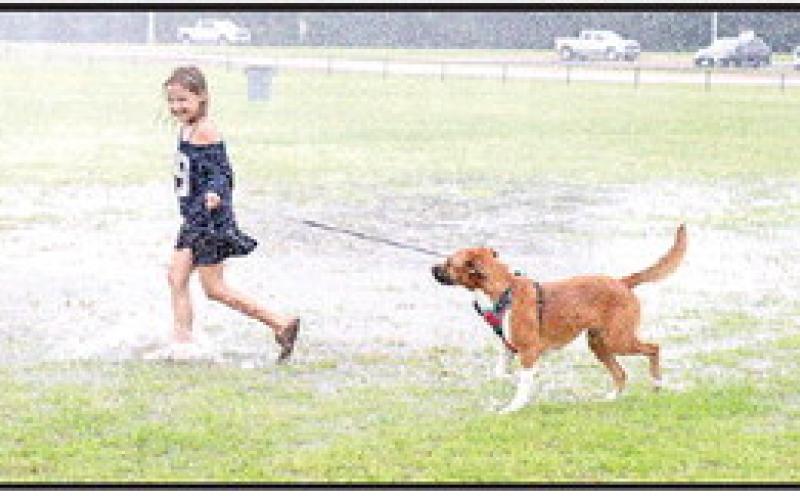 Fundraiser held in memory of Ava Claire