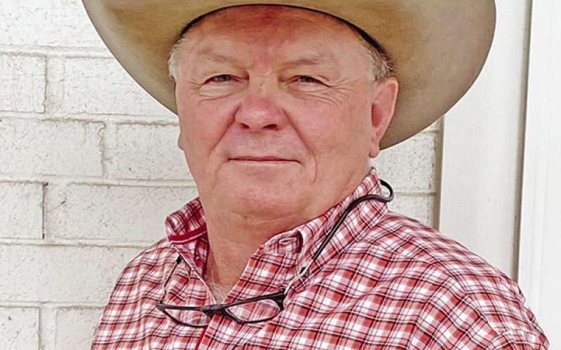 Joe D. Mitchell