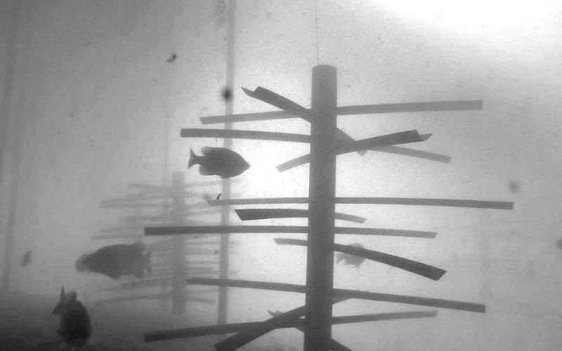 Arkansas-based MossBack Fish Habitat has worked with numerous conservation organizations as well as TPWD in providing artificial fish structures for use in habitat restoration projects on public lakes throughout Texas. (Photo Courtesy of MossBack)