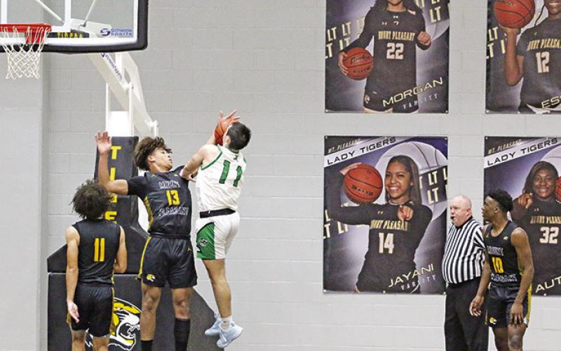 TRIBUNE PHOTOS / QUINTEN BOYD