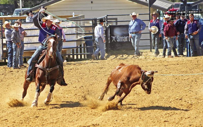 NTCC Rodeo Recap