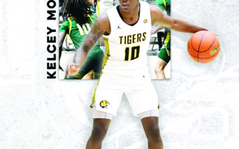 Tiger Basketball garners All-District selections