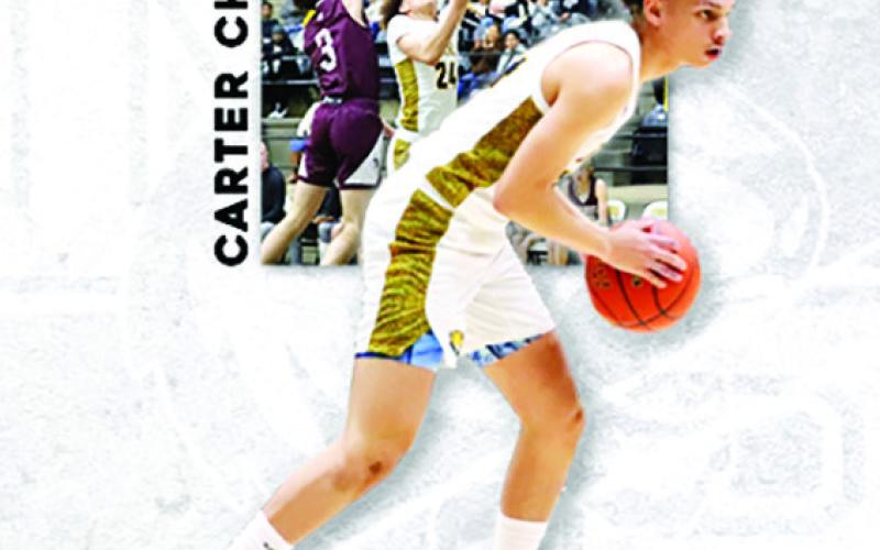 Tiger Basketball garners All-District selections
