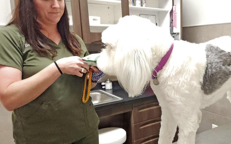 Mt. Pleasant Animal Clinic has served the community for 58 years and now has a new clinic Photo by Nicole Kimball