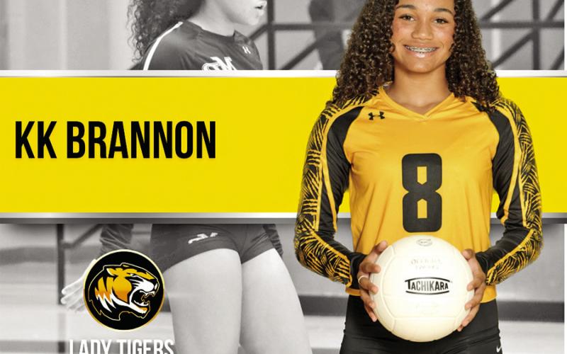 Lady Tigers have nine players honored on all-district team