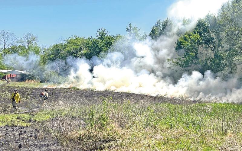 Grass fire destroys 5 acres