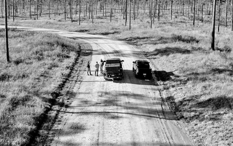 Quail are all about habitat. Following multiple years of prescribed fire and mechanical mulching, the habitat within the 2,500 acre “focal area” at Rock Creek Ranch closely resembles that of a well manicured Georgia quail plantation. The footprint will eventually encompass most of the 9,000-acre ranch COURTESY PHOTO / CARTER MORBY