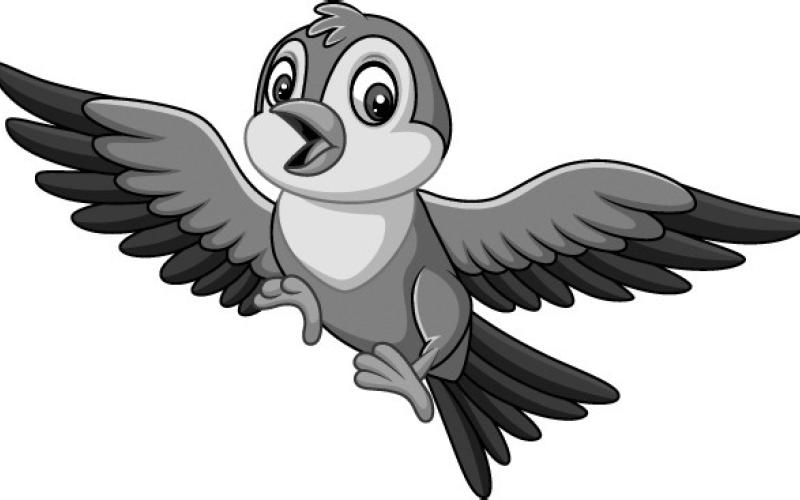 Birdsong