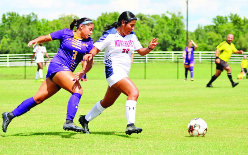 Lady Eagles fall in opening home matches