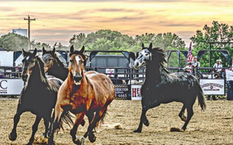 MT. PLEASANT RODEO