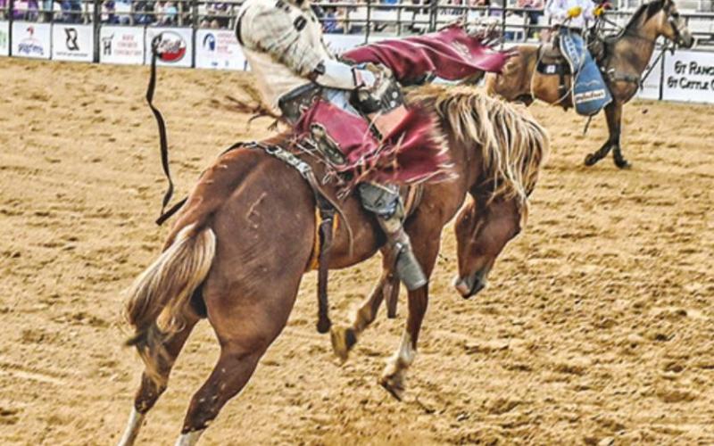 MT. PLEASANT RODEO