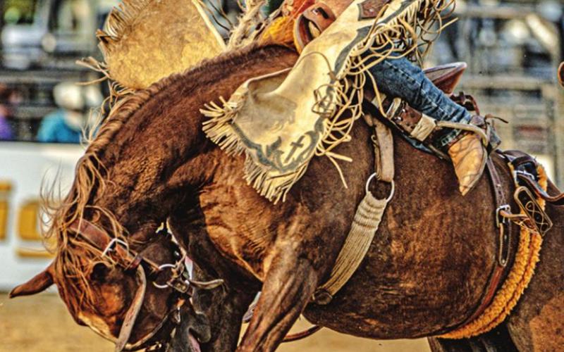 MT. PLEASANT RODEO