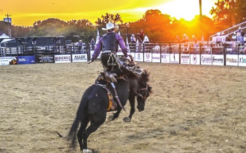MT. PLEASANT RODEO
