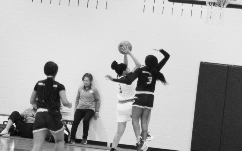 Local teams compete at basketball tournament