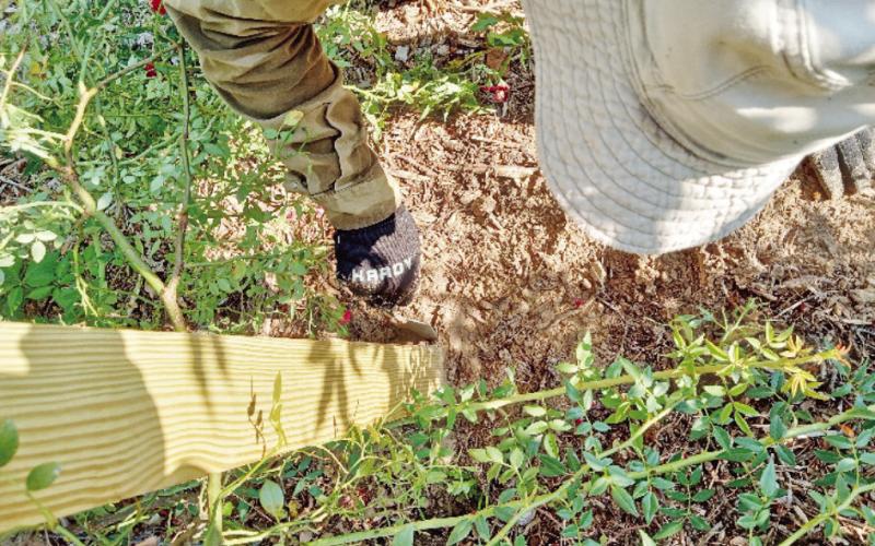 Replacing termite-ridden posts