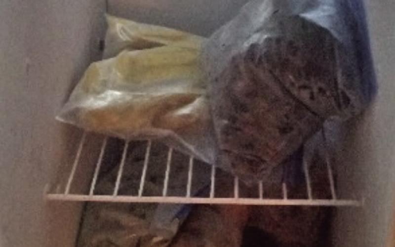 A freezer full of fruit