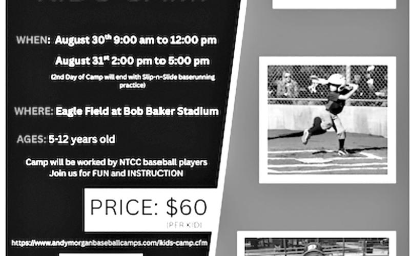 Kids Baseball Camp planned for August 30-31