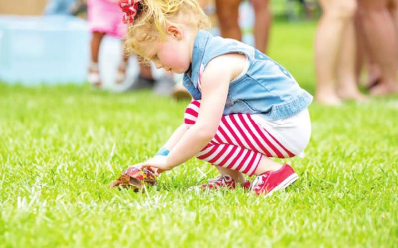 Happy Birthday USA provides fun for all ages. Pictured above is a participant in last year’s turtle races.