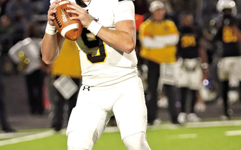 Carter Cook surveys the Dragon defense before connected with Decorian Thompson for a Tiger Touchdown.