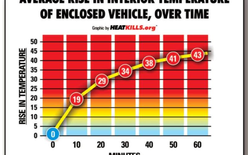 MPPD reminds drivers not to leave children, pets in vehicles