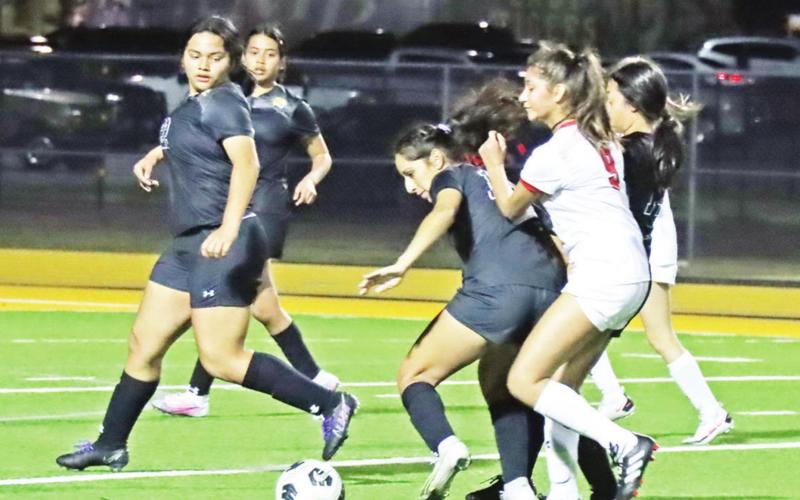 Lady Tiger soccer rolls past Marshall, reaches playoffs